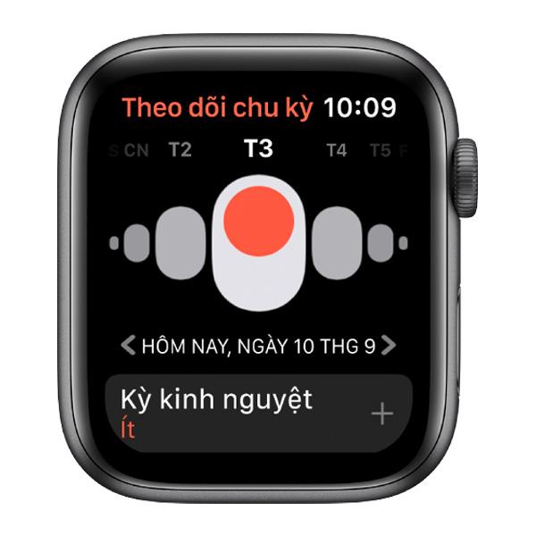Apple Watch Series 5 40mm Viền Nhôm Cũ 99%