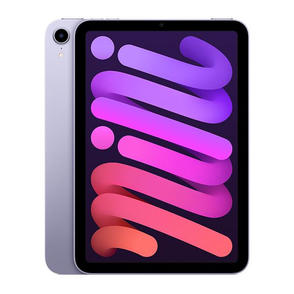 iPad Mini 6 8.3 inch 2021 Wifi 64GB Cũ 99%