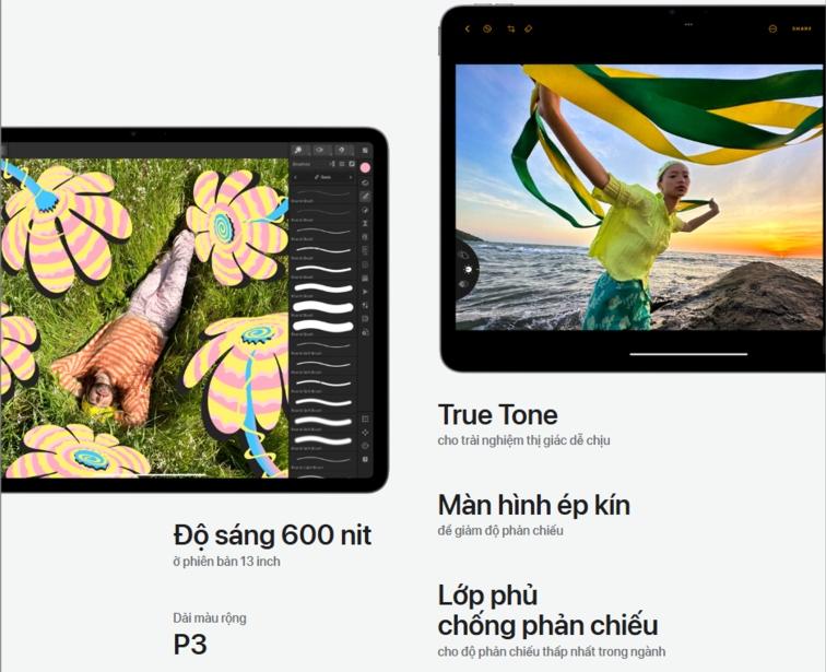 m&agrave;n h&igrave;nh ipad air m3