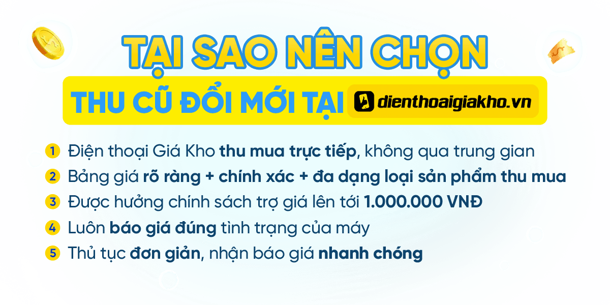 TOP 5 LÝ DO