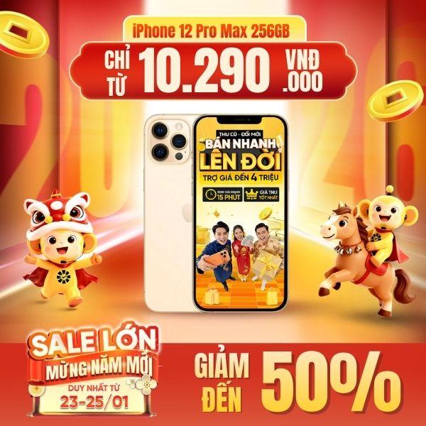 iPhone 12 Pro Max 256GB Cũ 99%