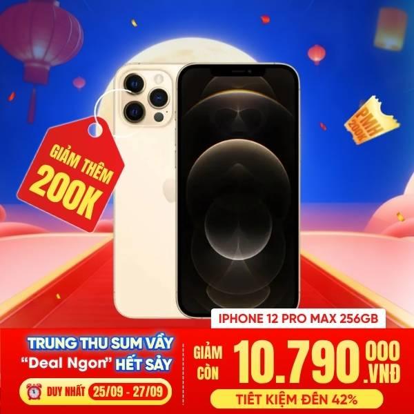 iPhone 12 Pro Max 256GB Cũ 99%